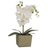 Clearance National Tree Company 21 in. Spring White Orchid Flower in Wood Box