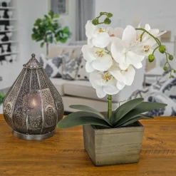 Clearance National Tree Company 21 in. Spring White Orchid Flower in Wood Box