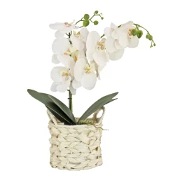 Clearance National Tree Company 21 in. Spring White Orchid in White Basket