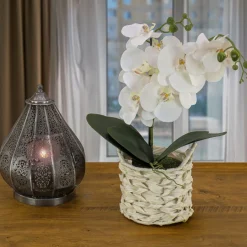 Clearance National Tree Company 21 in. Spring White Orchid in White Basket