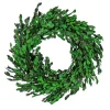New National Tree Company 18 in. Spring Wreath with Boxwood Flowers, Flowing Green Stems