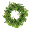 Sale National Tree Company 24 in. Spring Wreath with Ivy, Fern Leaves, Seed Pods, and Flowing Green Stems