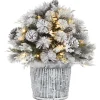 Outlet National Tree Company 22 in.Pre-Lit Snowy Chiwaw Basin Tree with LED Lights