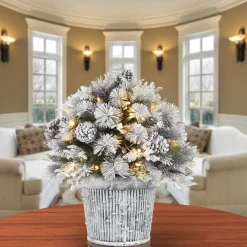 Outlet National Tree Company 22 in.Pre-Lit Snowy Chiwaw Basin Tree with LED Lights