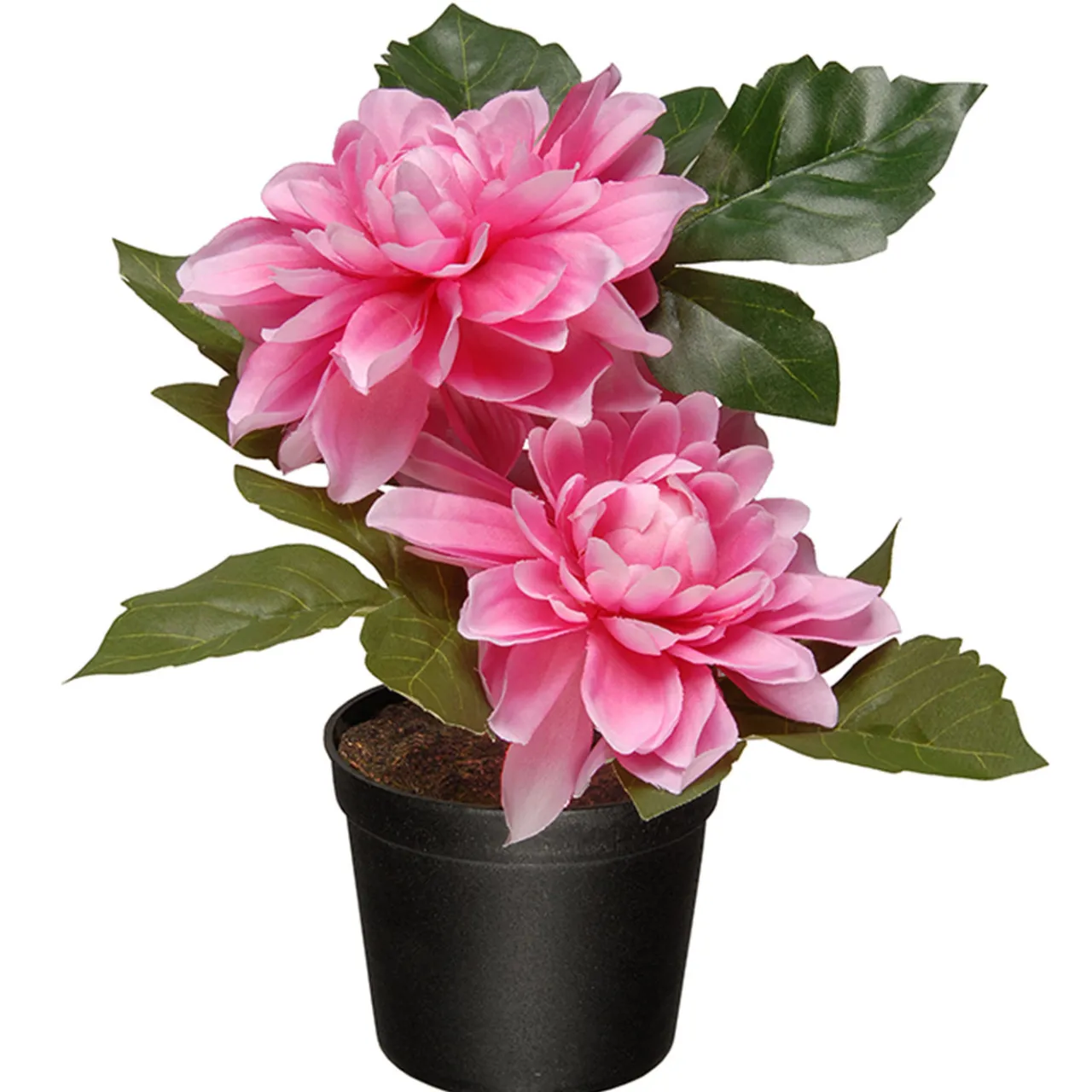Online National Tree Company Artificial Potted Flowers, Pink Dahlias, Includes Black Pot Base, Spring Collection, 7 Inches