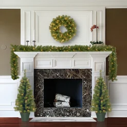 National Tree Company Evergreen Assortment with 2 Entrance Trees, 1 Wreath, 1 Garland