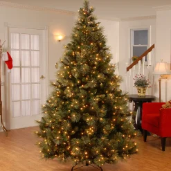 Hot National Tree Company 9ft. Pre-Lit Carolina Pine Tree with Clear Lights with 900 Clear Lights