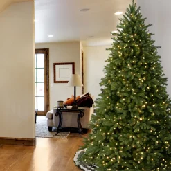 Outlet National Tree Company 9ft. Pre-Lit Jersey Fraser Fir Tree with Clear Lights
