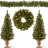New National Tree Company Pre-Lit Evergreen Assortment Set of 2 Entrance Trees, 1 Wreath, 1 Garland