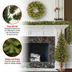 New National Tree Company Pre-Lit Evergreen Assortment Set of 2 Entrance Trees, 1 Wreath, 1 Garland
