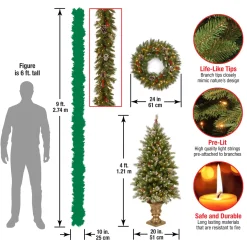 Discount National Tree Company Pre-Lit Frosted Berry Assortment with 2 Entrance Trees, 1 Wreath, 2 Garland