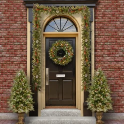Discount National Tree Company Pre-Lit Frosted Berry Assortment with 2 Entrance Trees, 1 Wreath, 2 Garland