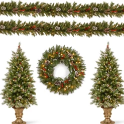 Discount National Tree Company Pre-Lit Frosted Berry Assortment with 2 Entrance Trees, 1 Wreath, 2 Garland