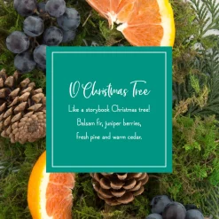 Best National Tree Company Scented Ornaments, 2- Pack- 6ct Bottle, O Christmas Tree, Fragrance-Infused Paper Sticks