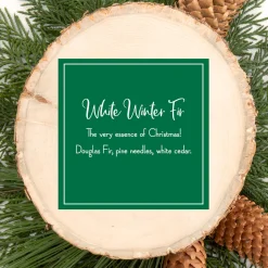 Online National Tree Company Scented Ornaments, 2 Pack- 6ct Bottle, White Winter Fir, Fragrance-Infused Paper Sticks