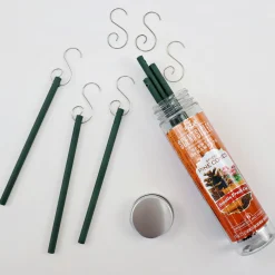 Best National Tree Company Scented Ornaments, 2-Pack- 6ct Bottle, Spiced Pine Cones, Fragrance-Infused Paper Sticks