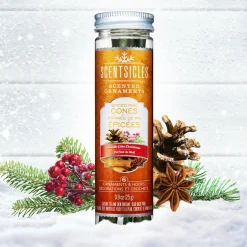 Best National Tree Company Scented Ornaments, 2-Pack- 6ct Bottle, Spiced Pine Cones, Fragrance-Infused Paper Sticks