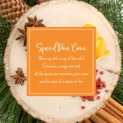 Best National Tree Company Scented Ornaments, 2-Pack- 6ct Bottle, Spiced Pine Cones, Fragrance-Infused Paper Sticks
