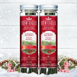 Discount National Tree Company Scented Ornaments, 2-Pack- 6ct Bottle, Christmas Berry, Fragrance-Infused Paper Sticks
