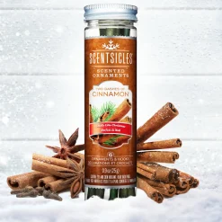 Online National Tree Company Scented Ornaments, 2-Pack- 6ct Bottle, 2 Dashes of Cinnamon, Fragrance-Infused Paper Sticks