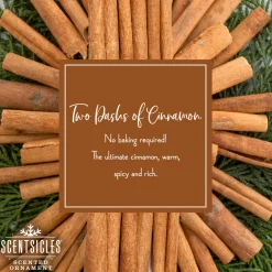 Online National Tree Company Scented Ornaments, 2-Pack- 6ct Bottle, 2 Dashes of Cinnamon, Fragrance-Infused Paper Sticks