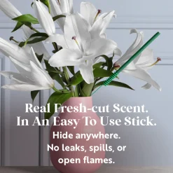 New National Tree Company Scentsicles, 6pc Stick, 1 Lemon 'n Lilies/ 1 Berryvines & Wildflowers- 2 pack