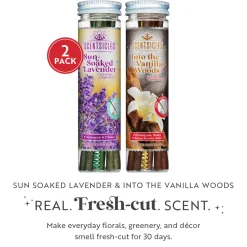 Sale National Tree Company Scentsicles, 6pc Stick, 1 Sun-Soaked Lavender/1 Into the Vanilla Woods- 2 pack