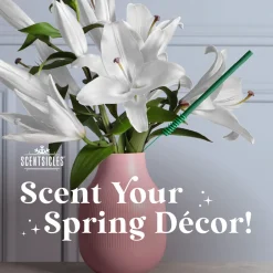 Outlet National Tree Company Scentsicles, 6pc Stick, 1 Sun-Soaked Lavender/1 Honeysuckle Rose- 2 pack
