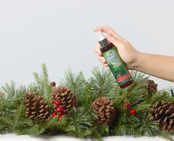 New National Tree Company Scentsicles 6pc Stick and Spray White Winter Fir - 2 Pack