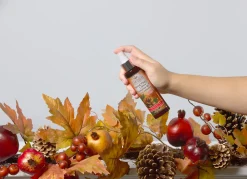 Online National Tree Company Scentsicles 6pc Stick and Spray Spiced Pine Cones - 2 Pack