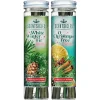 Outlet National Tree Company Scentsicles, 6pc Stick, White Winter Fir & O Christmas Tree- 2 Pack