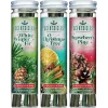 Clearance National Tree Company Scentsicles, 6pc Stick, White Winter Fir, O Christmas Tree, Snowberry Pine- 3 Pack