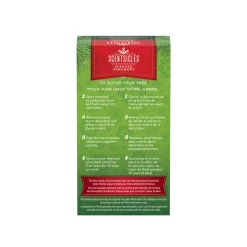 Sale National Tree Company Scentsicles, Scented Star Ornament, White Winter Fir, 2-Pack